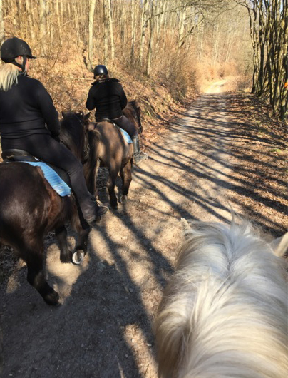 Turridning för familjen